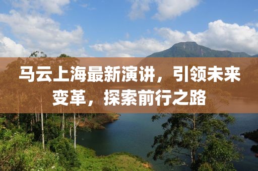 马云上海最新演讲，引领未来变革，探索前行之路