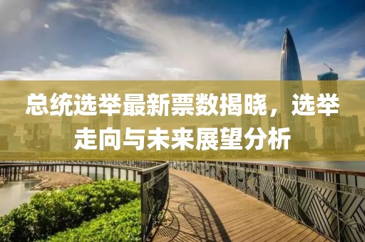 总统选举最新票数揭晓，选举走向与未来展望分析