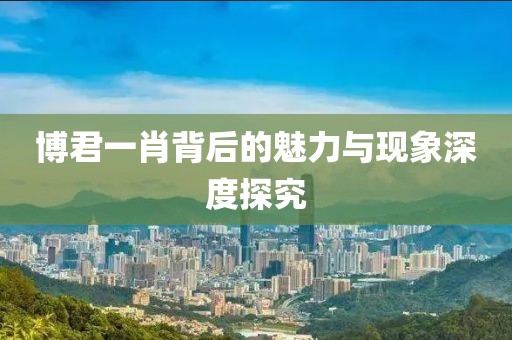 博君一肖背后的魅力与现象深度探究