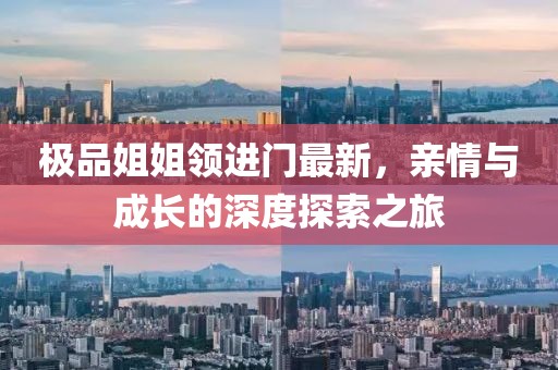 极品姐姐领进门最新，亲情与成长的深度探索之旅