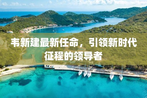 韦新建最新任命，引领新时代征程的领导者