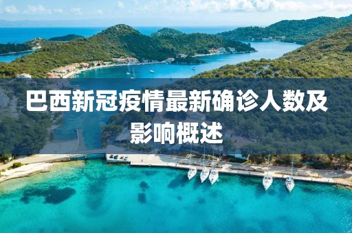 巴西新冠疫情最新确诊人数及影响概述