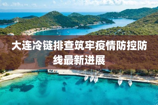 大连冷链排查筑牢疫情防控防线最新进展