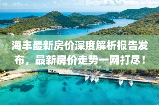 海丰最新房价深度解析报告发布，最新房价走势一网打尽！