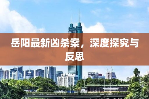 岳阳最新凶杀案，深度探究与反思