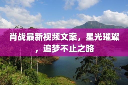 肖战最新视频文案，星光璀璨，追梦不止之路