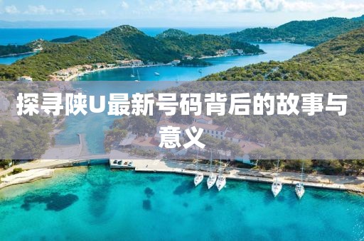 探寻陕U最新号码背后的故事与意义