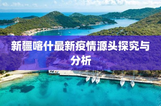 新疆喀什最新疫情源头探究与分析