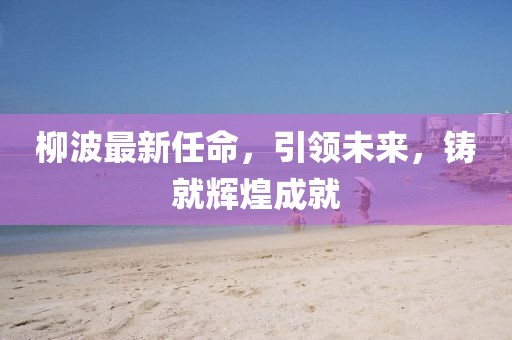 柳波最新任命，引领未来，铸就辉煌成就