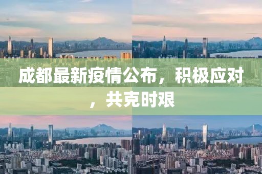 成都最新疫情公布，积极应对，共克时艰