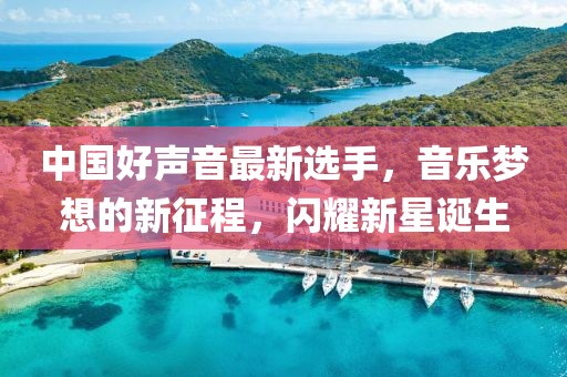 中国好声音最新选手，音乐梦想的新征程，闪耀新星诞生