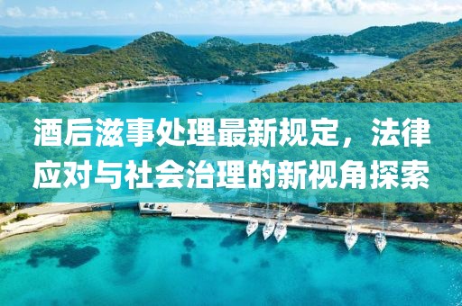 酒后滋事处理最新规定，法律应对与社会治理的新视角探索