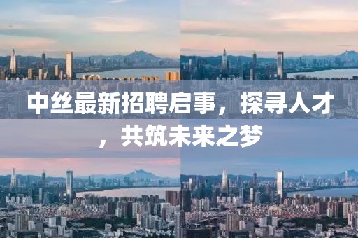 中丝最新招聘启事，探寻人才，共筑未来之梦