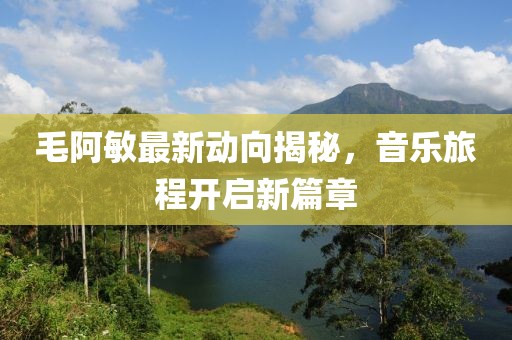 毛阿敏最新动向揭秘，音乐旅程开启新篇章