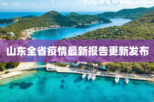 山东全省疫情最新报告更新发布