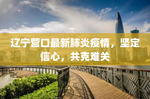 辽宁营口最新肺炎疫情，坚定信心，共克难关