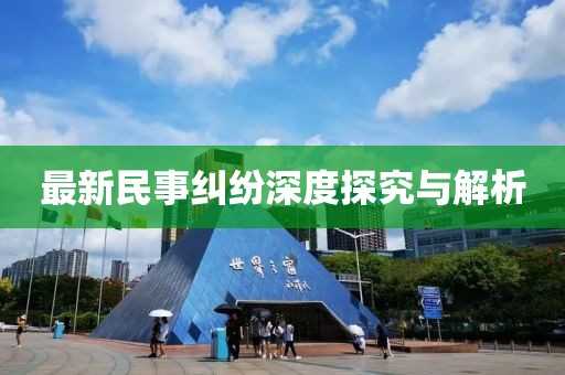 最新民事纠纷深度探究与解析