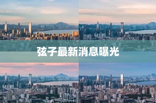 弦子最新消息曝光