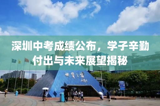 深圳中考成绩公布，学子辛勤付出与未来展望揭秘
