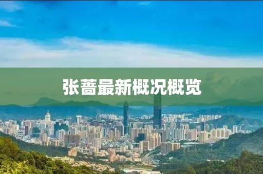 张蔷最新概况概览