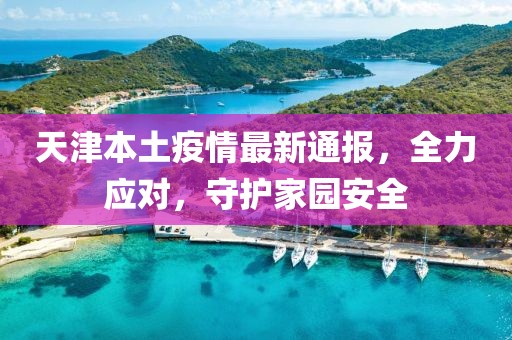 天津本土疫情最新通报，全力应对，守护家园安全