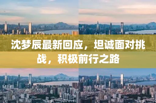 沈梦辰最新回应，坦诚面对挑战，积极前行之路