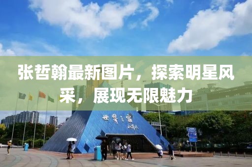 张哲翰最新图片，探索明星风采，展现无限魅力