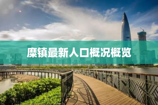 糜镇最新人口概况概览