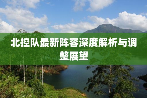 北控队最新阵容深度解析与调整展望