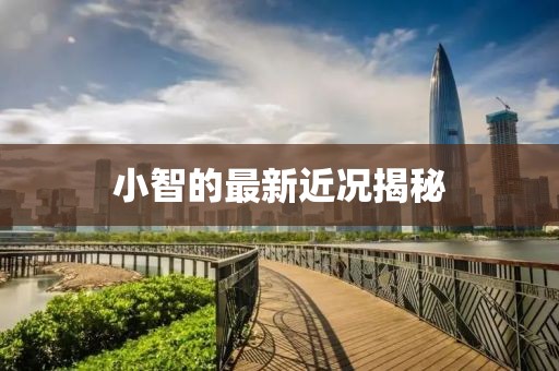 小智的最新近况揭秘