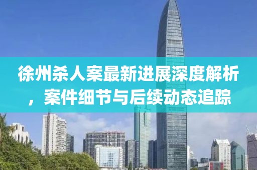 徐州杀人案最新进展深度解析，案件细节与后续动态追踪