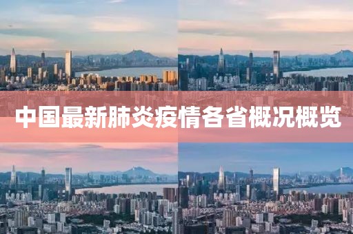 中国最新肺炎疫情各省概况概览