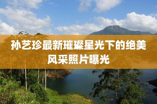 孙艺珍最新璀璨星光下的绝美风采照片曝光