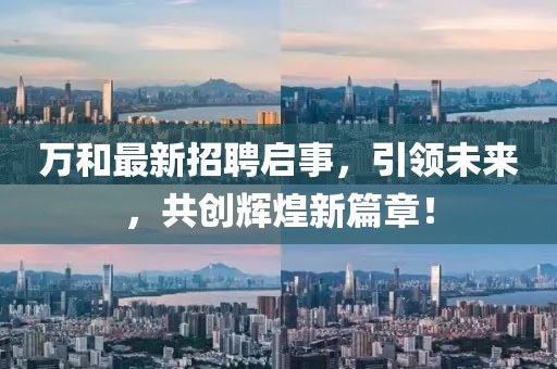 万和最新招聘启事，引领未来，共创辉煌新篇章！