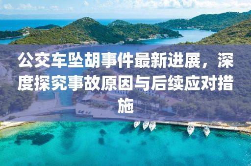 公交车坠胡事件最新进展，深度探究事故原因与后续应对措施