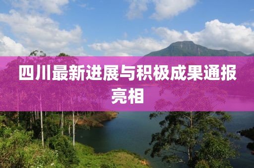 四川最新进展与积极成果通报亮相
