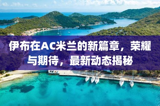 伊布在AC米兰的新篇章，荣耀与期待，最新动态揭秘