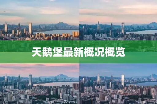天鹅堡最新概况概览