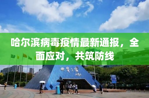哈尔滨病毒疫情最新通报，全面应对，共筑防线