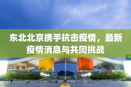 东北北京携手抗击疫情，最新疫情消息与共同挑战