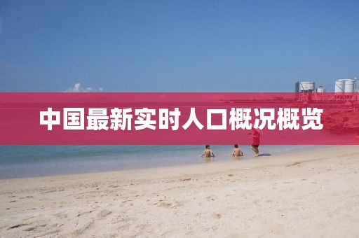中国最新实时人口概况概览