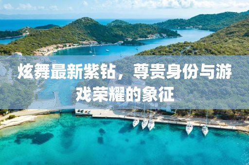炫舞最新紫钻，尊贵身份与游戏荣耀的象征