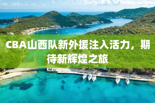 CBA山西队新外援注入活力，期待新辉煌之旅