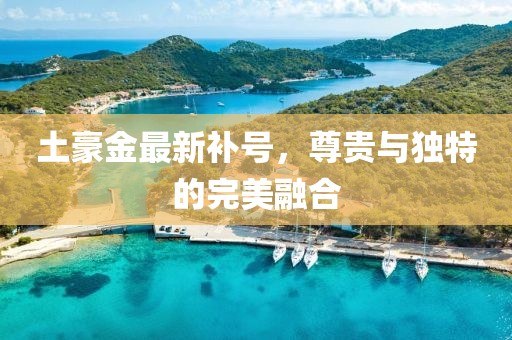 土豪金最新补号，尊贵与独特的完美融合