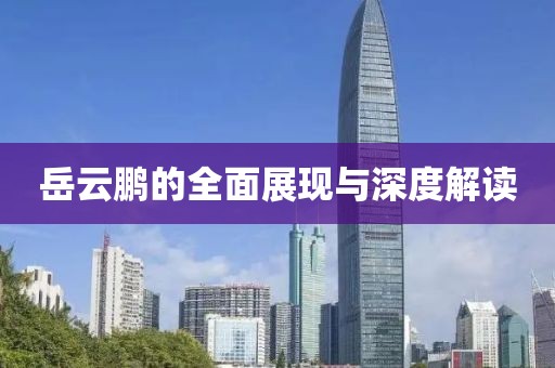 岳云鹏的全面展现与深度解读