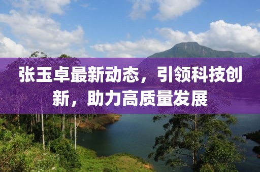 张玉卓最新动态，引领科技创新，助力高质量发展