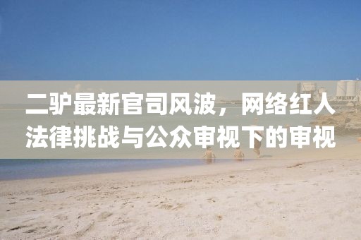 二驴最新官司风波，网络红人法律挑战与公众审视下的审视