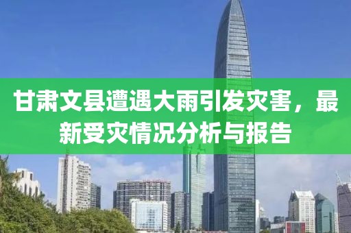甘肃文县遭遇大雨引发灾害，最新受灾情况分析与报告