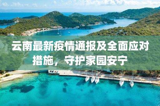 云南最新疫情通报及全面应对措施，守护家园安宁