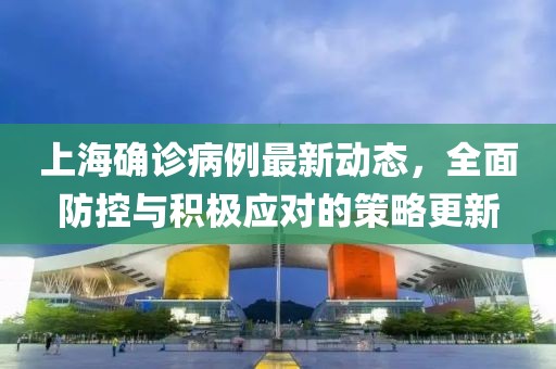 上海确诊病例最新动态，全面防控与积极应对的策略更新